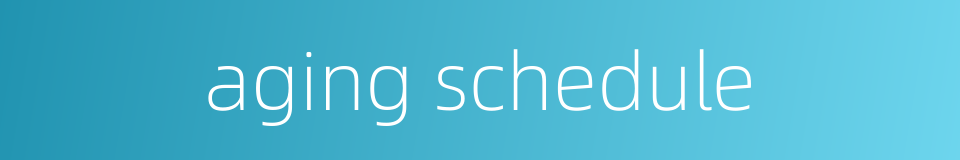 aging schedule的同义词
