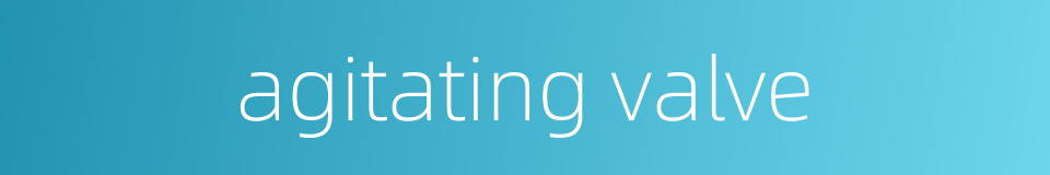 agitating valve的同义词