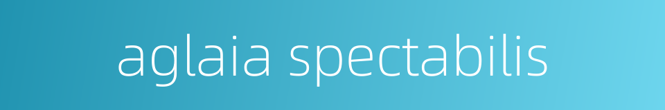 aglaia spectabilis的同义词