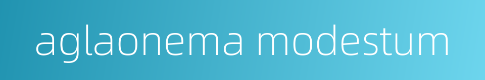 aglaonema modestum的同义词