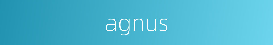agnus的同义词