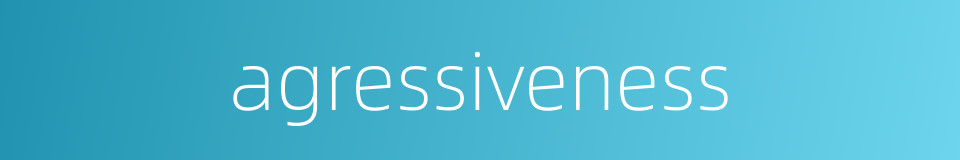 agressiveness的同义词