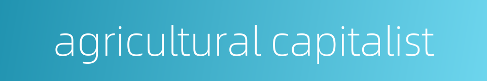agricultural capitalist的同义词