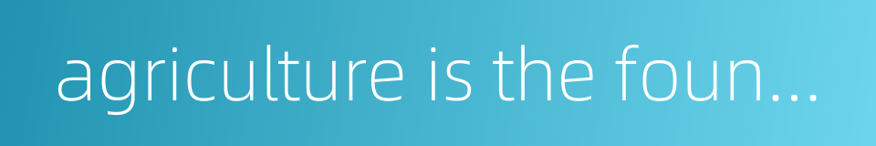 agriculture is the foundation of the national economy的同义词