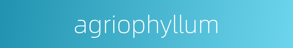 agriophyllum的同义词