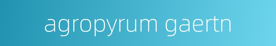 agropyrum gaertn的同义词