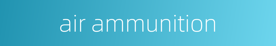air ammunition的同义词