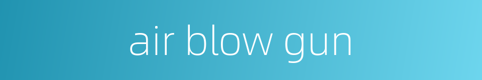 air blow gun的同义词