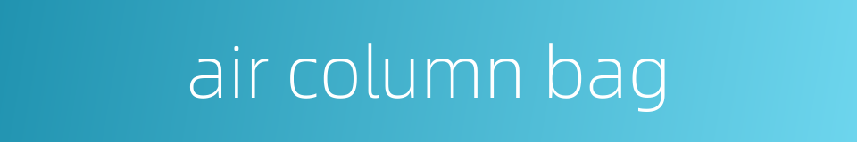 air column bag的同义词