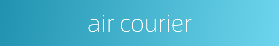 air courier的同义词