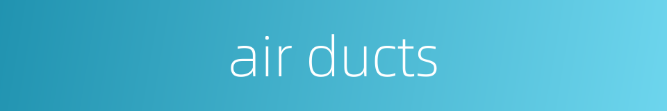 air ducts的同义词