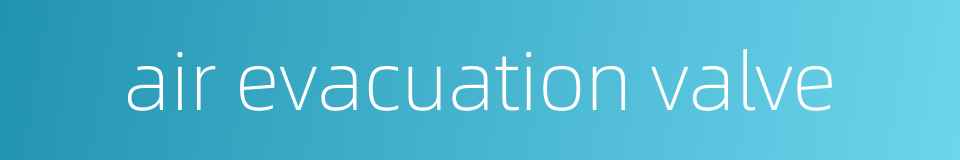 air evacuation valve的同义词