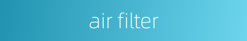 air filter的同义词