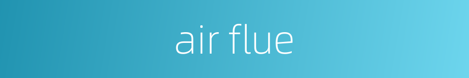 air flue的同义词