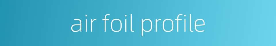 air foil profile的同义词
