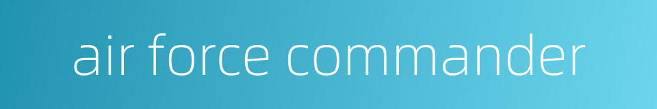 air force commander的同义词