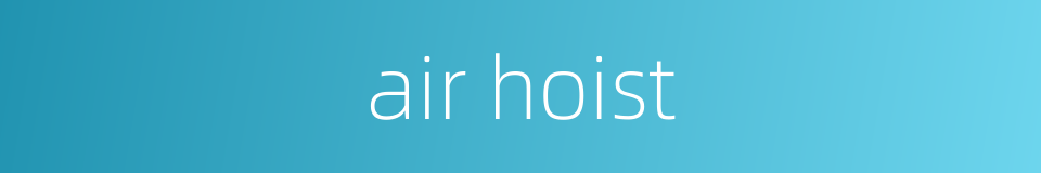 air hoist的同义词