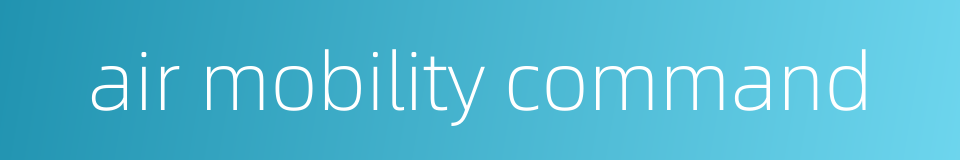 air mobility command的同义词