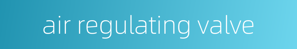 air regulating valve的同义词