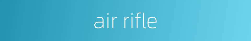 air rifle的同义词