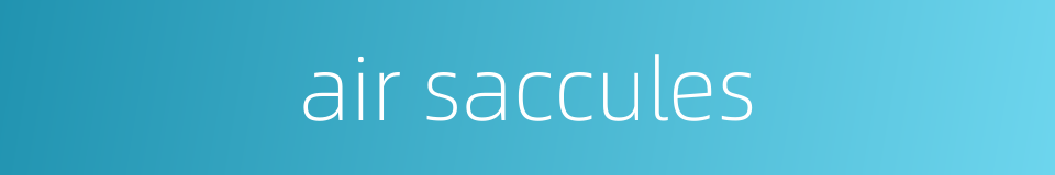 air saccules的同义词