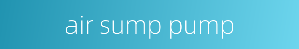 air sump pump的同义词