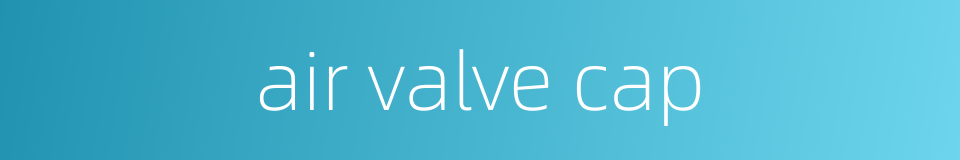 air valve cap的同义词