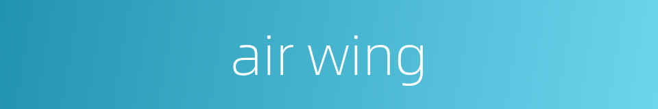 air wing的同义词