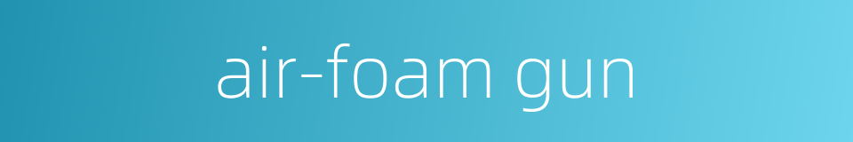 air-foam gun的同义词