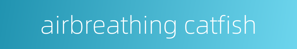 airbreathing catfish的同义词