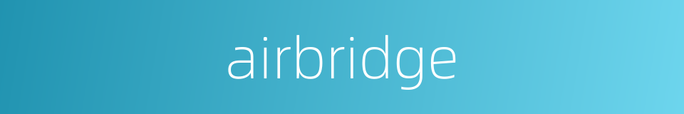 airbridge的同义词