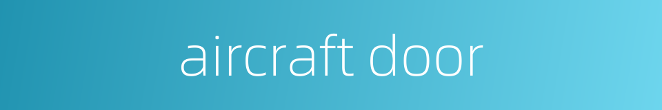 aircraft door的同义词