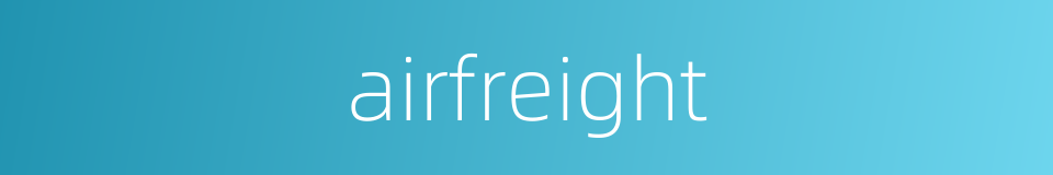 airfreight的同义词