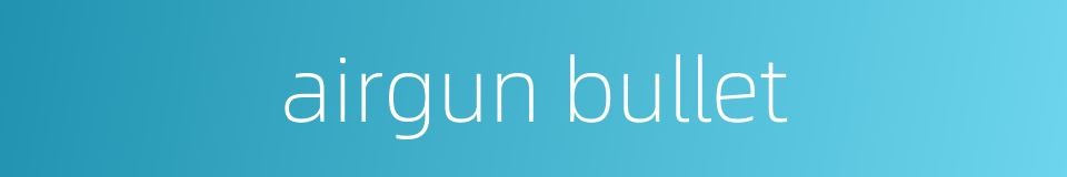airgun bullet的同义词