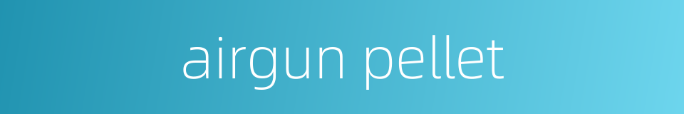 airgun pellet的同义词