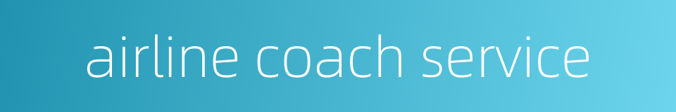 airline coach service的同义词