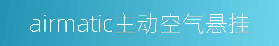 airmatic主动空气悬挂的同义词