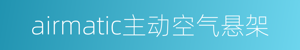 airmatic主动空气悬架的同义词