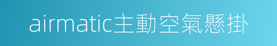 airmatic主動空氣懸掛的同義詞