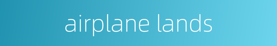 airplane lands的同义词