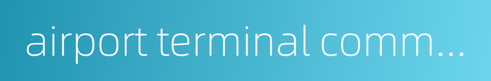 airport terminal commerce的同义词