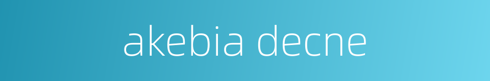 akebia decne的同义词