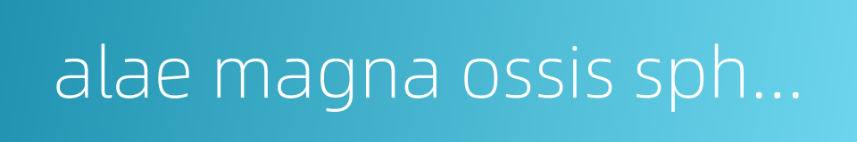 alae magna ossis sphenoridalis的同义词