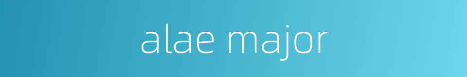alae major的同义词