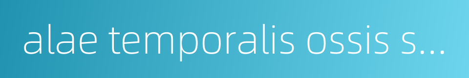 alae temporalis ossis sphenoidalis的同义词