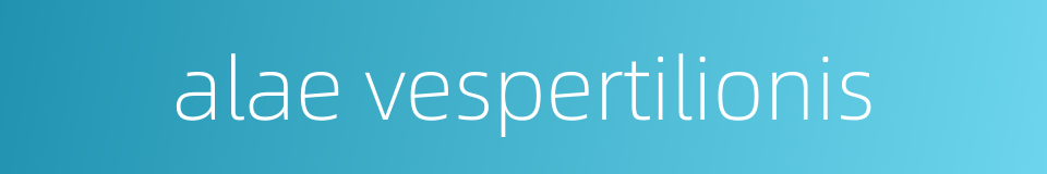 alae vespertilionis的同义词