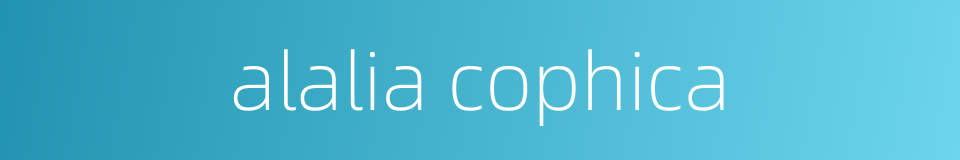 alalia cophica的同义词