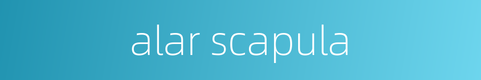 alar scapula的同义词