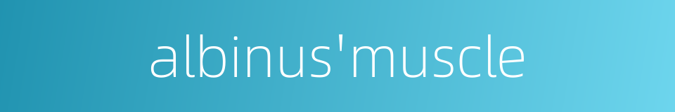 albinus'muscle的同义词