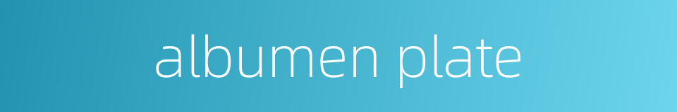 albumen plate的同义词